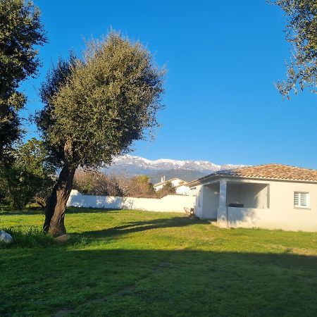 Appartement Location "Casa Monna" à Prunelli-di-Fiumorbo Extérieur photo