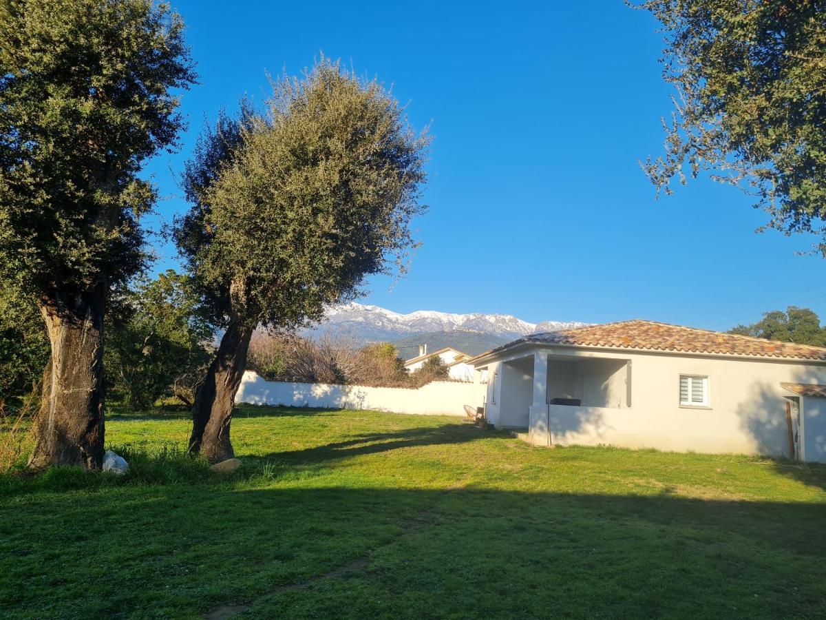 Appartement Location "Casa Monna" à Prunelli-di-Fiumorbo Extérieur photo